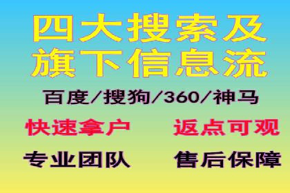 SEM投放策略：成功案例解析